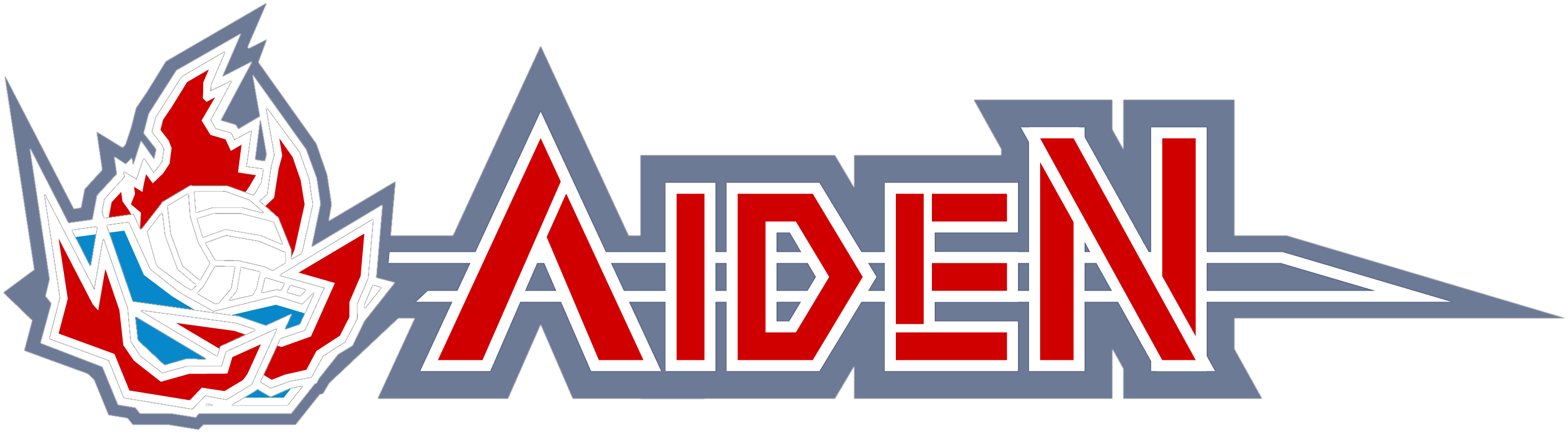 AIDEN
